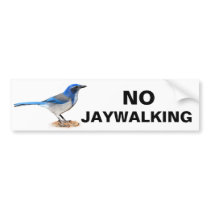 NO JAYWALKING