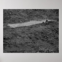 No Landscape Posters