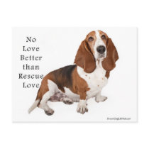 No Love Better than Rescue Love