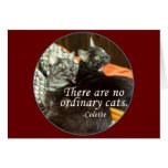 No Ordinary Cats Cards