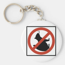 No Smoking Squirrels Allowed Highway Sign Key Chains
