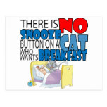 No Snooze Cat Bed Postcard