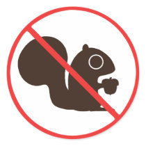No Squirrels