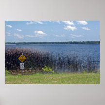 No Swimming Poster