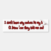 no voices in my head funny bumpersticker bumper sticker