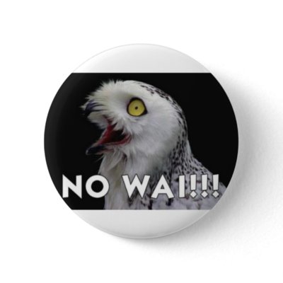 No Wai Owl