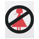 No Woman Custom Flyer