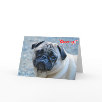 No Wrinkles Pug Birthday Card