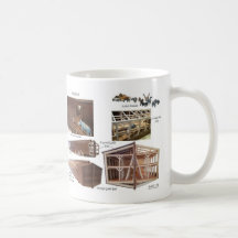 Noah`s Ark Model Mug
