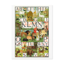 Noah's ABC Alphabet Chart in English for teachers Post Card