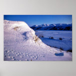 Noatka River Tracks in Snow Print
