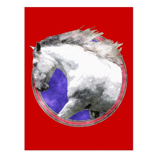 NOBLE HORSE POST CARD