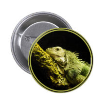 Noble Iguana Button