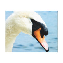 Noble Spirit | 14x11"  Mute Swan Wrapped Canvas Canvas Prints