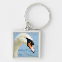 Noble Spirit | Male Mute Swan Key Chain