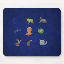 Nocturnal Animals Mouse Pad