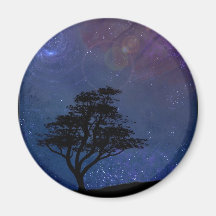 Nocturnal Fridge Magnets