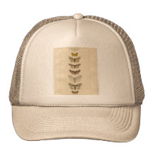 Nocturnes Hat