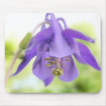 Nodding Blue Columbine Mouse Pads