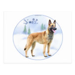 Noel Belgian Malinois Post Cards