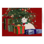 Noël blanc de minou carte