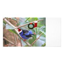 Noël bleu d'oiseau photocarte customisée