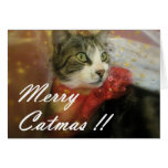 Noël Cartes