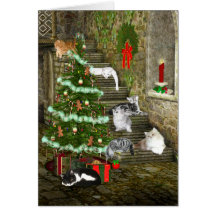Noël de chat cartes de vœux