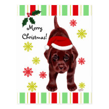 Noël de chiot de Labrador de chocolat et de chapea Cartes Postales