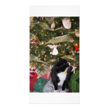 Noël de Meow Photocarte Personnalisée