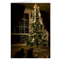 Noël de Meowy Carte De Vœux