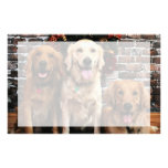 Noël - golden retriever - emballeur Bella Darby Papier À Lettre Personnalisé