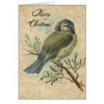 Noël, mésange bleue vintage carte de vœux