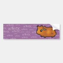 Noisy Guinea Pig (scruffy) Bumper Stickers