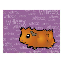 Noisy Guinea Pig (scruffy) Postcard