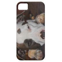 nola iPhone 5 cover