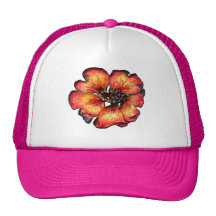 Nommez votre chapeau casquettes
