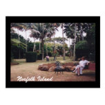norfolk island garden postcard