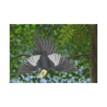Normal Grey Cockatiel "Wind" Digital Oil Stretched Canvas Prints