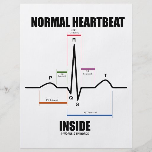 Normal Heartbeat Inside (ECG EKG) Full Colour Flyer