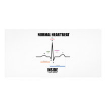 Normal Heartbeat Inside (ECG EKG)