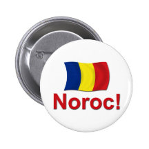Noroc! (Cheers) Pins