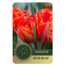Norooz  Mubarak. Persian New Year Gift Magnet