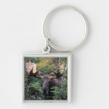 North America, Canada, Nova Scotia, Cape Breton Key Chain