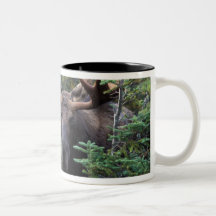 North America, Canada, Nova Scotia, Cape Breton Mugs