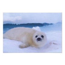 North America, Canada, Quebec, Iles de la 2 Photo Art