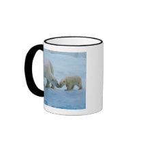 North America, Canadian Arctic. Polar bear and Coffee Mugs