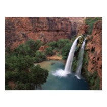 North America, U.S.A., Arizona, Havasu Canyon,