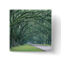 North America, U.S.A., Georgia, Savannah,