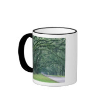 North America, U.S.A., Georgia, Savannah, Coffee Mug